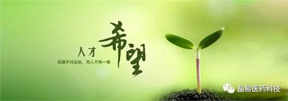 晶易醫(yī)藥獲評(píng)就業(yè)見(jiàn)習(xí)基地與研究生培養(yǎng)創(chuàng)新基地，構(gòu)筑人才發(fā)展新臺(tái)階